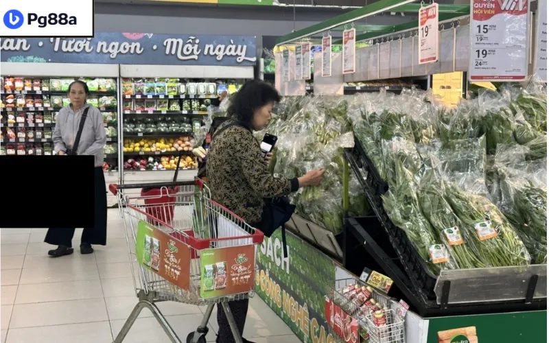 Lạm Phát Đông Nam Á: Bức Tranh Kinh Tế Nhiều Áp Lực Nhưng Vẫn Ổn Định Những yếu tố ảnh hưởng đến lạm phát Đông Nam Á 2026